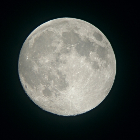 中秋の名月っつぁん