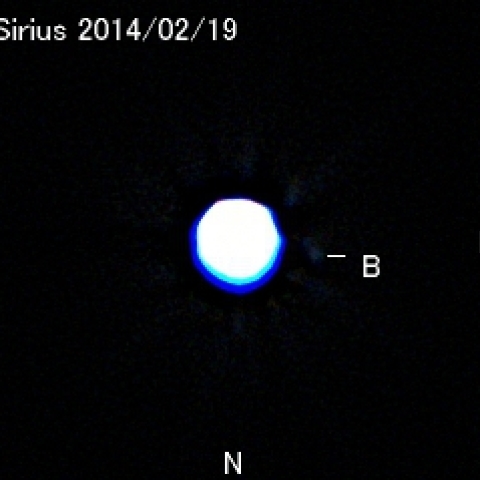 シリウスの伴星