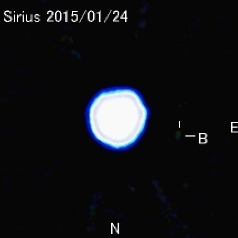 シリウスの伴星