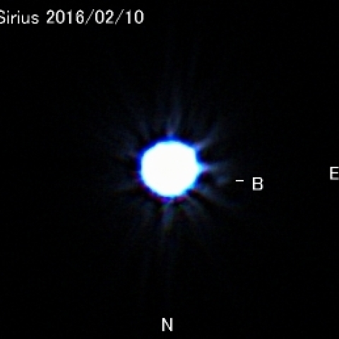 シリウスの伴星