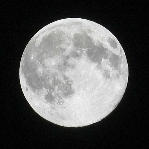 名月の翌日の月