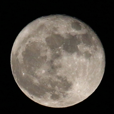 スーパームーンの翌日の月