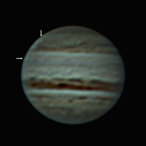 SEB復活の発生源の白斑