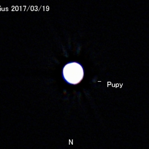 シリウスの伴星