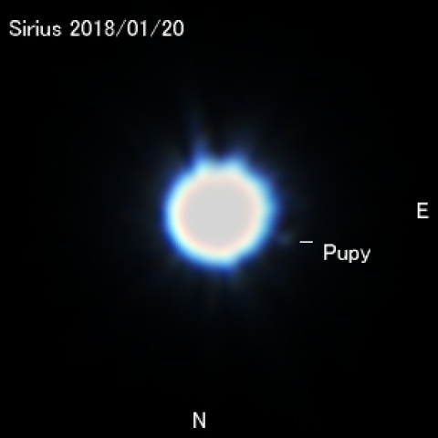 シリウスの伴星