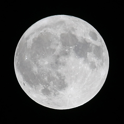 月齢15.1（満月）