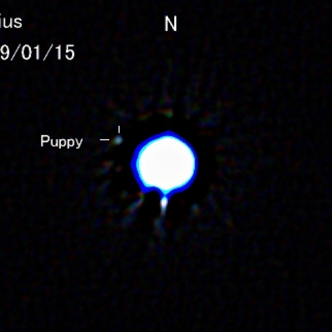 シリウスの伴星