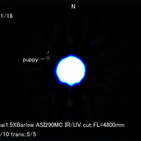 シリウスの伴星