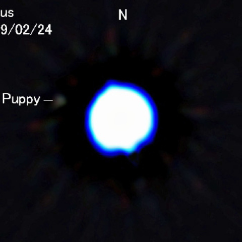 シリウスの伴星