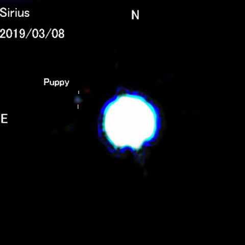 シリウスの伴星