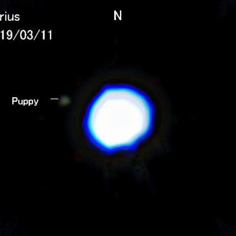 シリウスの伴星