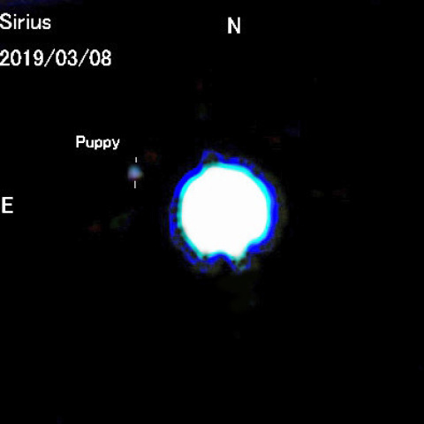 シリウスの伴星