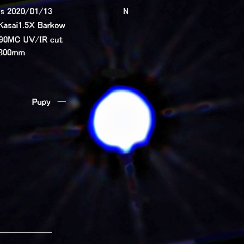 シリウスの伴星