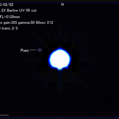 シリウスの伴星