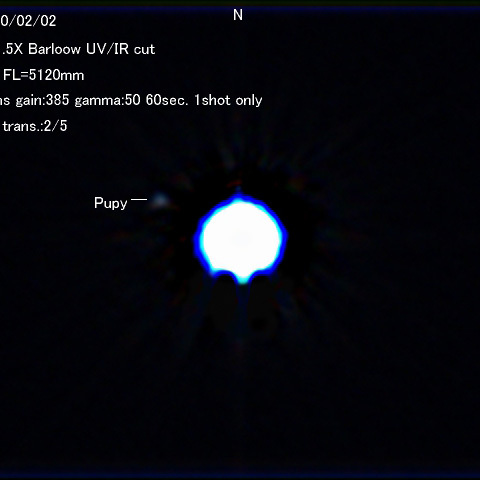 シリウスの伴星