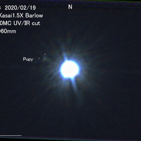 シリウスの伴星