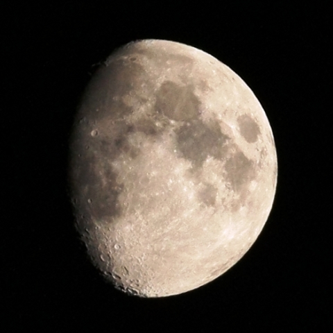 後の名月少し前月齢10