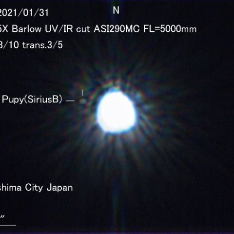 シリウスの伴星