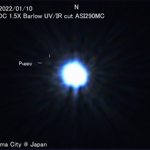 シリウスの伴星