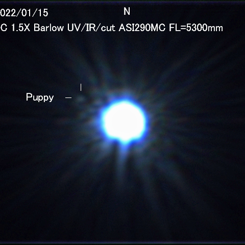 シリウスの伴星