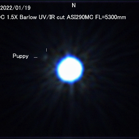 シリウスの伴星