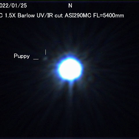 シリウスの伴星