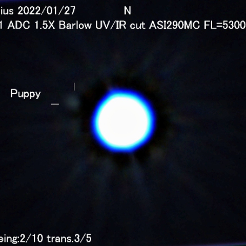 シリウスの伴星