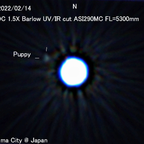 シリウスの伴星