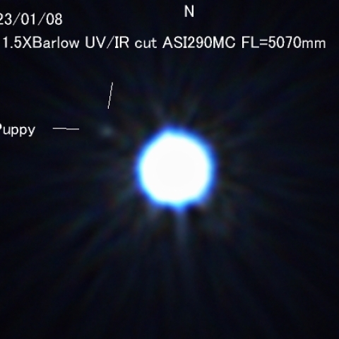 シリウスの伴星