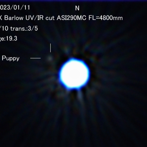 シリウスの伴星