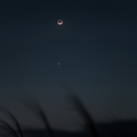 細い月と金星・火星の接近