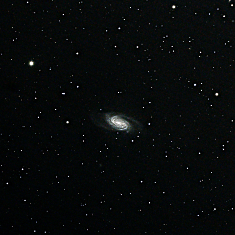 NGC2903