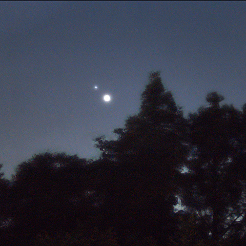 金星と木星の接近