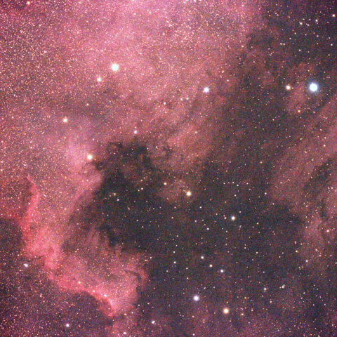 北アメリカ星雲とペリカン星雲