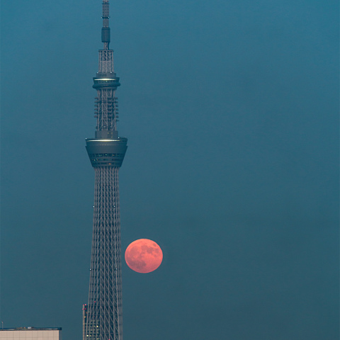 スカイツリーとスーパームーン