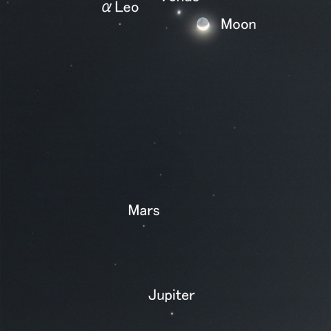 月と明けの明星たち