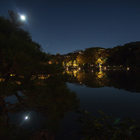 紅葉ライトアップと月・オリオン座