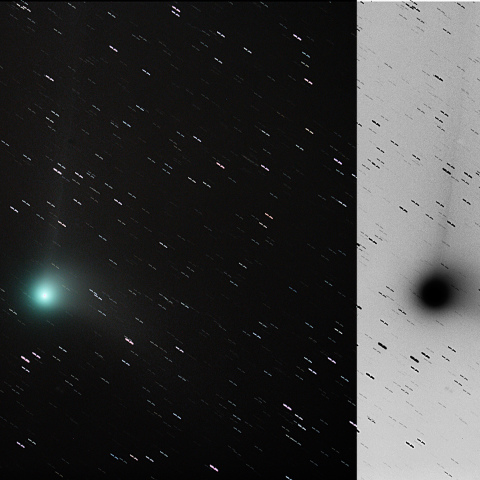 カタリナ彗星（C/2013 US10）