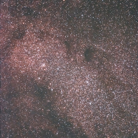 M24 バンビの横顔