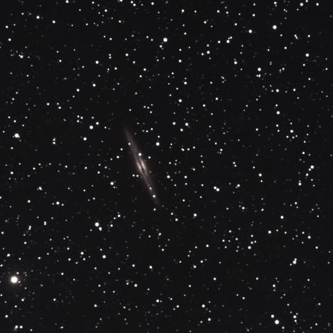 NGC891