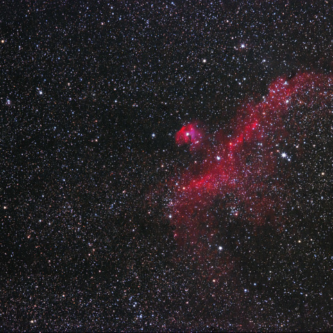 かもめ星雲(IC2177)とM50