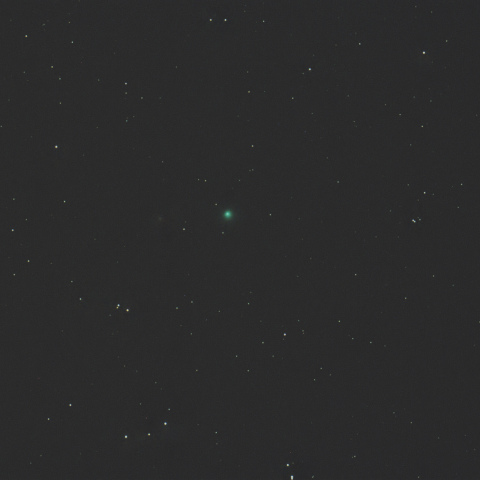 2月19日のエンケ彗星