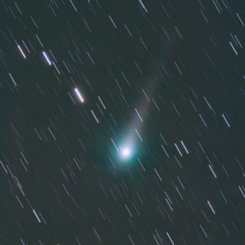 6月3日のジョンソン彗星 (C/2015 V2)