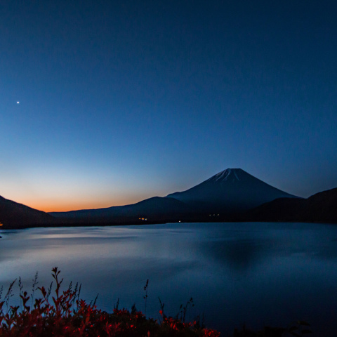 西方最大離角の朝の金星