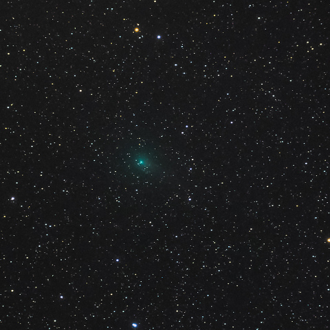 エイサスエスエヌ彗星 (C/2017 O1)