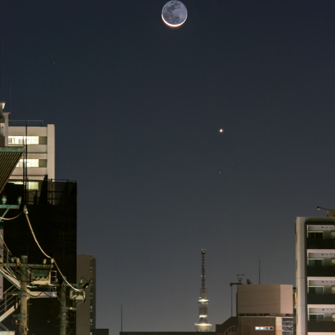 月と金星の接近