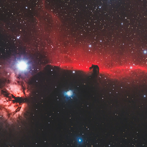 馬頭星雲と燃える木