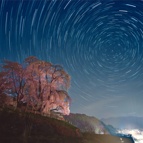 勝間薬師堂のしだれ桜と北天の空
