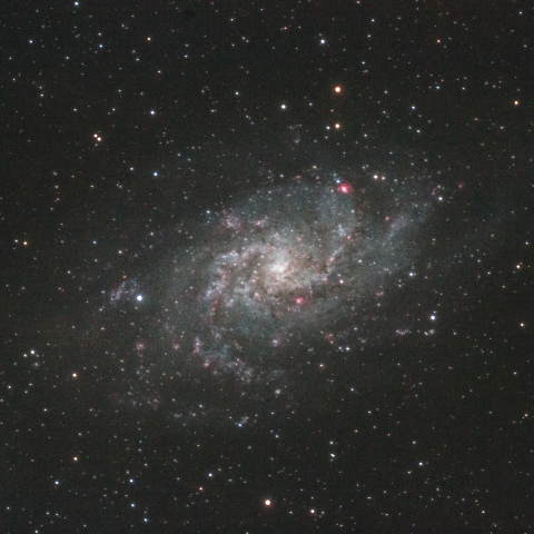 M33 さんかく座の銀河