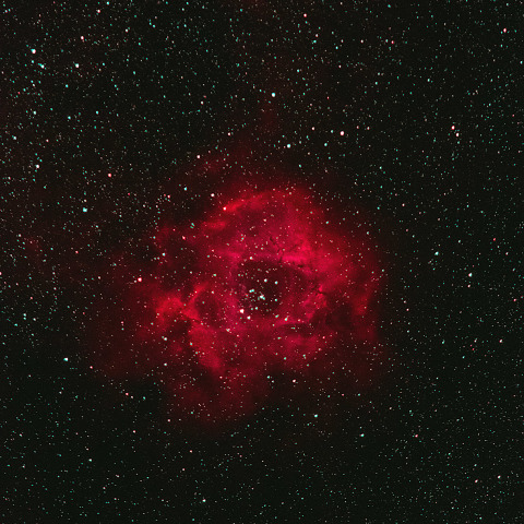 ばら星雲 NGC2237